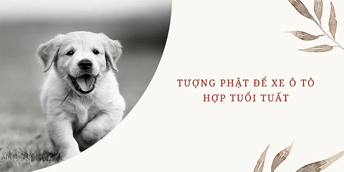 tuong-phat-de-xe-oto-hop-tuoi-tuat